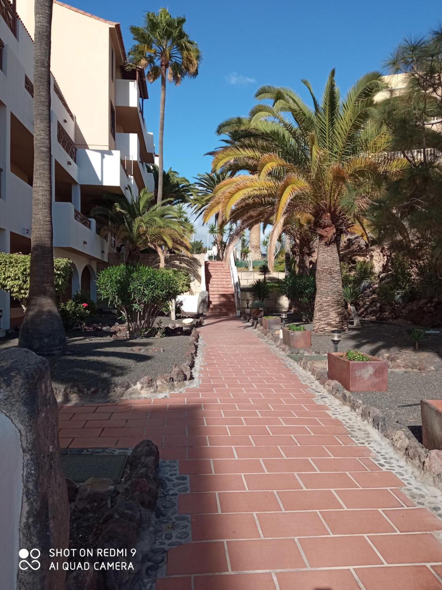 Las Meninas Tenerife Сан Мигел де Абона Стая снимка
