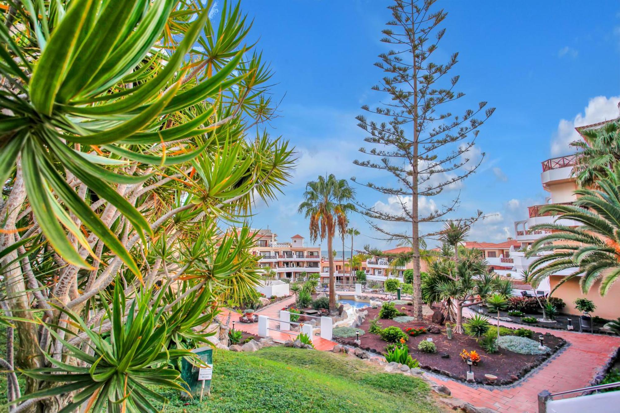 Las Meninas Tenerife Сан Мигел де Абона Екстериор снимка